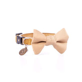 COLLAR MINI BÁSICO CORBATÍN / DORADO